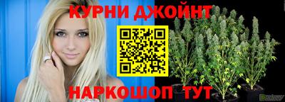 гидра Обнинск