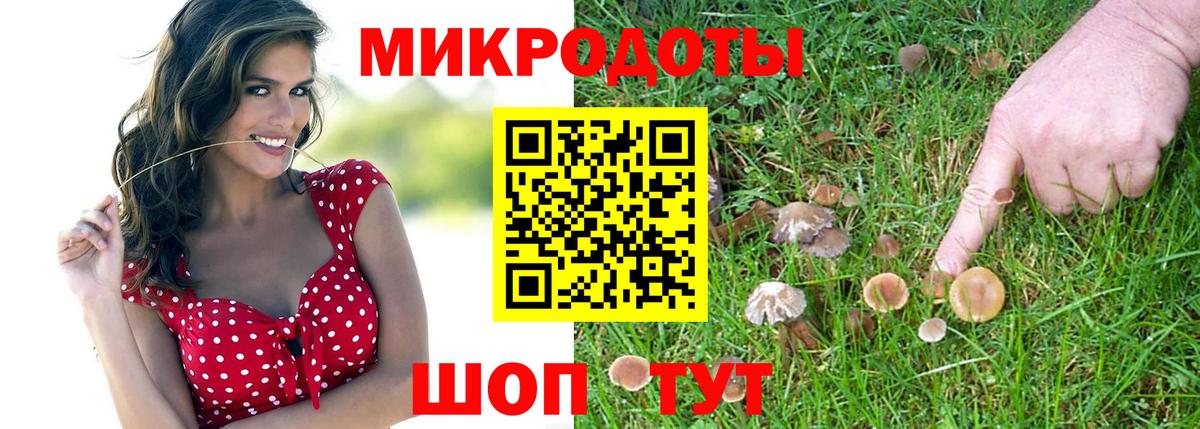 Строитель  Псилоцибиновые грибы мицелий  Псилоцибиновые грибы Cubensis  Вход с VPN 